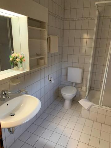 Zum Floesser Neckartenzlingen Eksteriør billede